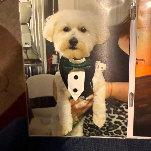 Meet your Posher, Kathy - Picture 4 of 4